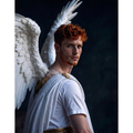 Luminari Angel Living Entity Companion